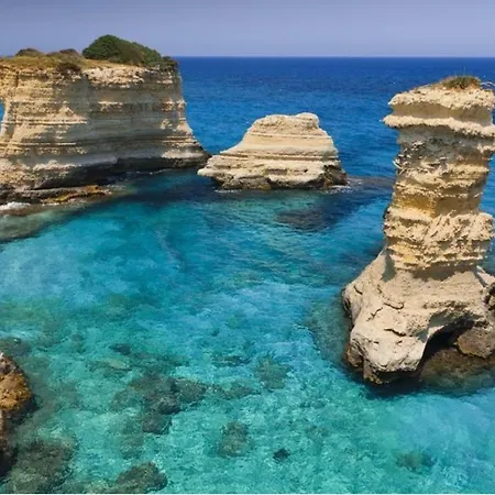 Raffaello 아파트 *