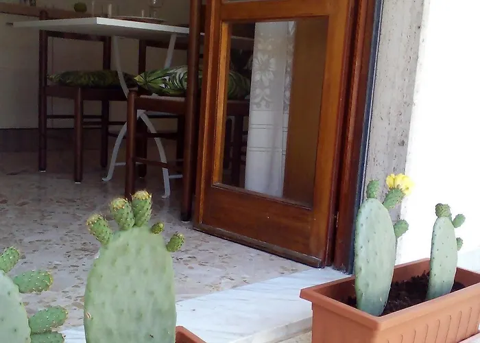 Raffaello ليتشي